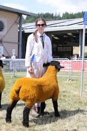 F66_1807 2026