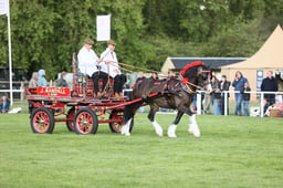 E28_2800 2026