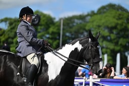 588 Native Ridden Horse