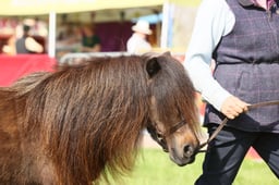 E34_0566 2026