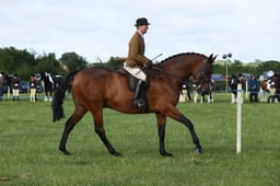 E36_0426 2026