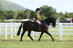 E42_0050 2026