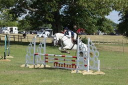 392 RATHBANE PRINCE