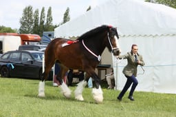 E36_1410 2026