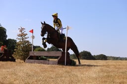 C67_3907 2026