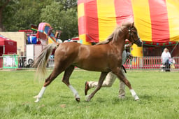 E34_2062 2026