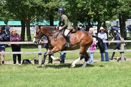 H176-173 WORKING PERF CHAMPIONSHIP