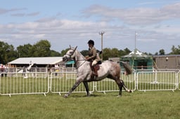 L42_9519 2026