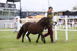 433 Yearlings