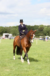 E36_2309 2026