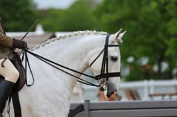 H29_0423 2026
