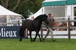 W29_0750 2026