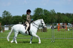 F33_0750 2026