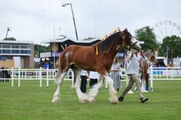 H44_0010 2026