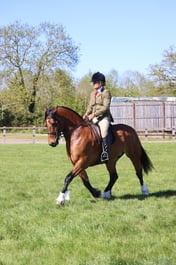 110 M&M Intermediate Welsh C & D