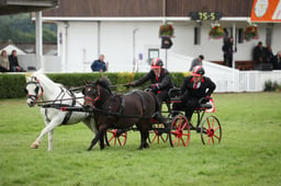 Scurry Championship