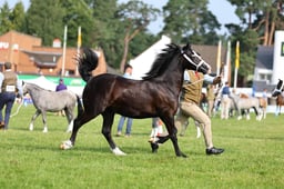 H69_1876 2026