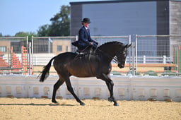 119 Ladies Side Saddle