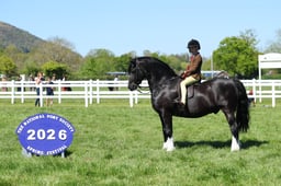 H19_1367 2026