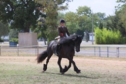 E66_4818 2026