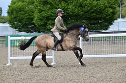 A30_1183 2026