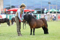 H44_0956 2026