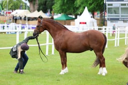 C45_1255 2026