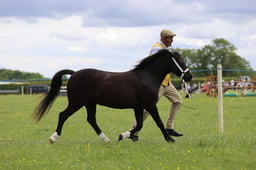 J36_7120 2026