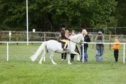 E30_4653 2026