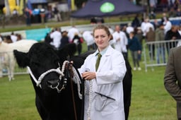 Welsh Black Young Handler