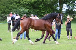 J36_7027 2026