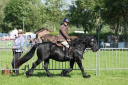C33_0629 2026