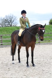 CL95-93 Ridden Thoroughbred Championship