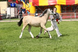 E34_1671 2026