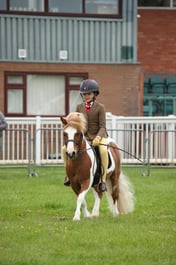 120 M&M Small Breeds Ridden