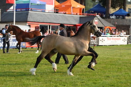 E69_0250 2026