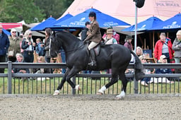 39 Heavyweight Cob