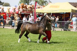 E34_1644 2026