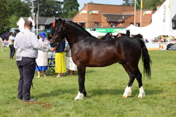 E69_1330 2026
