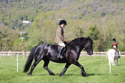 C19_0696 2026
