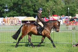 C33_0364 2026