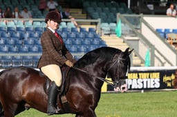 C68_0062 2026