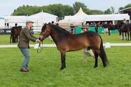 S29_0072 2026