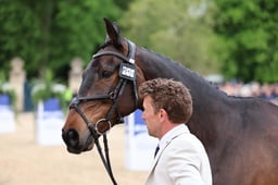 M25_0134 2026