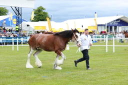 F44_0532 2026