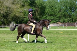 M19_0524 2026