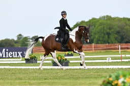 369 ALVESCOT EXTRAORDINAIRE
