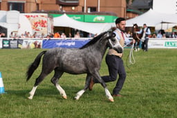 C69_4352 2026
