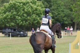 305 BALLYGRIFFIN PASSION
