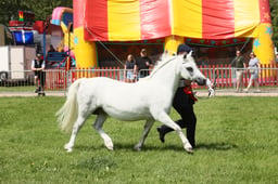 E34_1598 2026